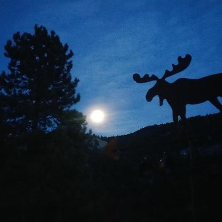 Alpine Moose Lodge Lake City Eksteriør bilde