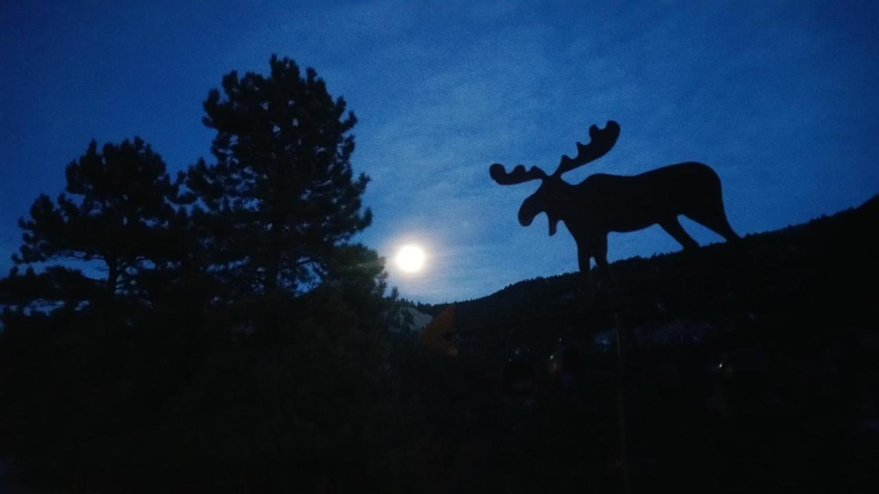 Alpine Moose Lodge Lake City Eksteriør bilde