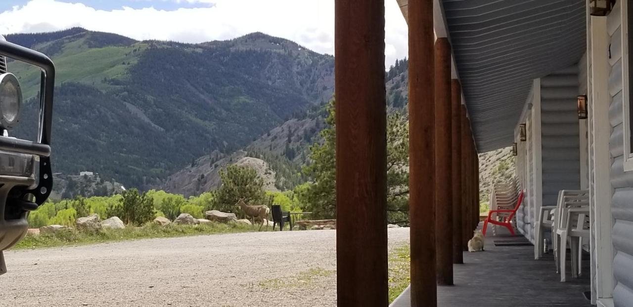 Alpine Moose Lodge Lake City Eksteriør bilde