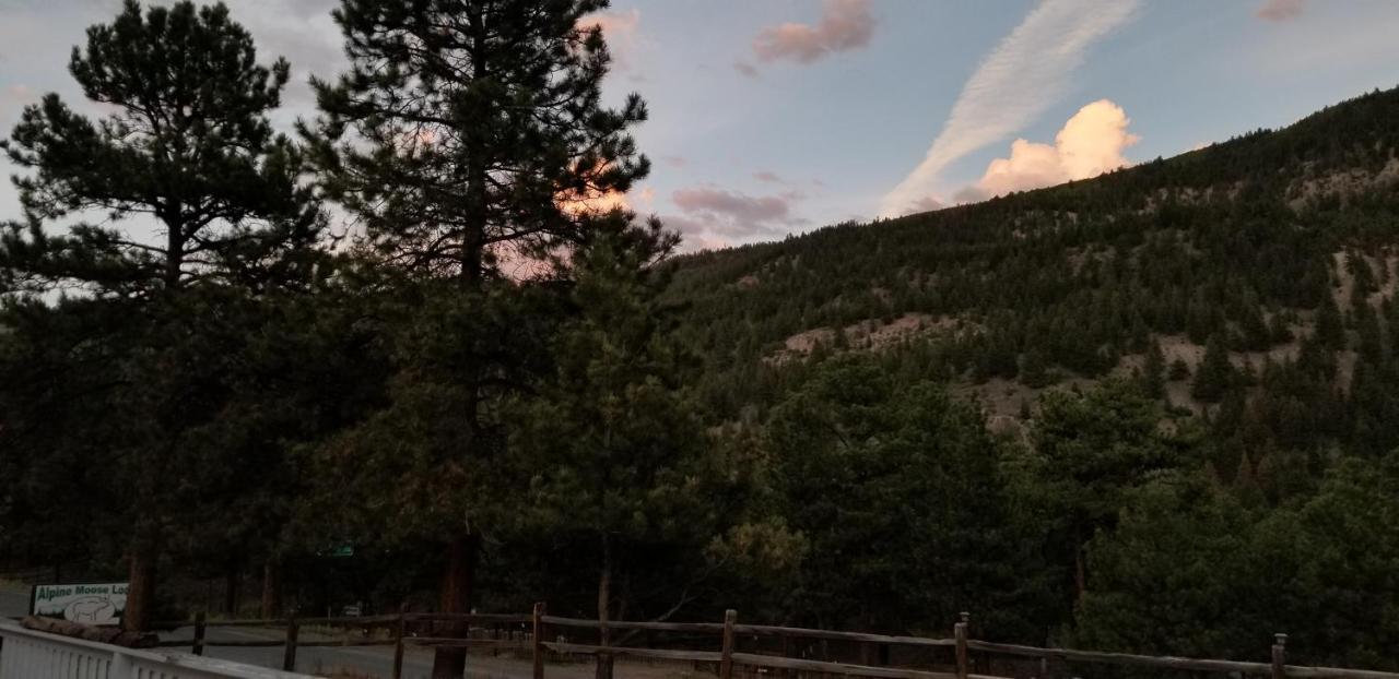 Alpine Moose Lodge Lake City Eksteriør bilde